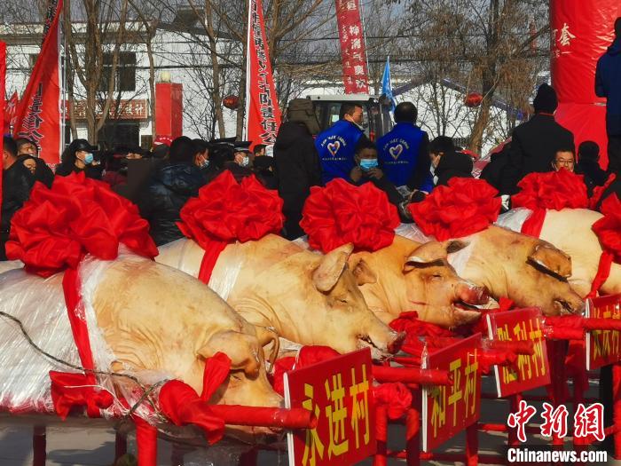 500斤猪肉配上2000斤酸菜内蒙古“大后套第一锅”起锅