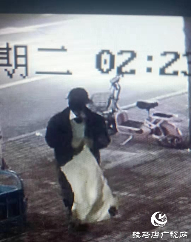 多次盗取电动车不思悔改 平舆民警布网将其抓获