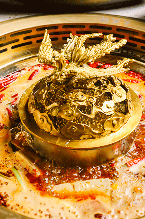 元旦盛大试营业！郑凯的火凤祥鲜货火锅来驻马店啦！邀您来尝鲜！