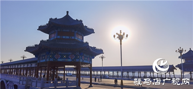 鞭声阵阵 龙飞陀舞河南驻马店市驿城区皇家驿站五市同台竞技展舞姿