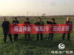 吨源种业“福高2号”田间回访（之二）