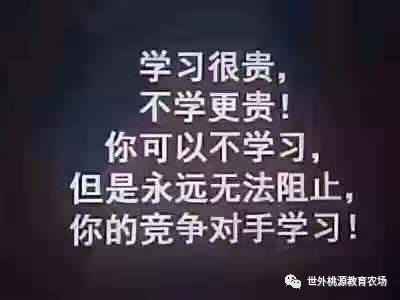 重大福利！ 点点英语入驻驻马店了！