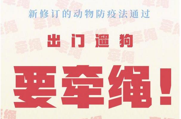 动物防疫法有这些变化 出门遛狗要牵绳