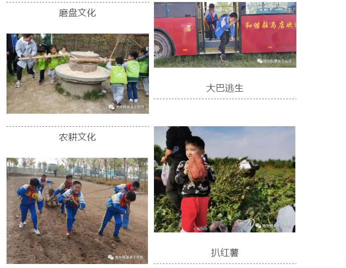 寒假运动休闲哪里好？——到世外桃源享受冬日暖阳