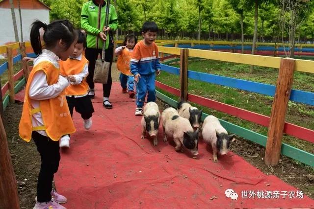 寒假运动休闲哪里好？——到世外桃源享受冬日暖阳