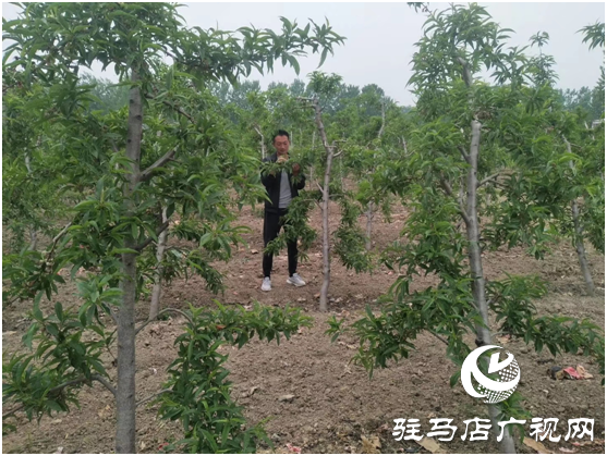 新春种心愿  来年共致富
