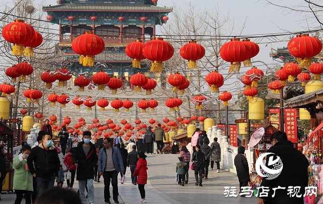 驻马店：张灯结彩年味浓 年货市场迎春忙