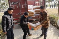 万斤冬粮让候鸟在中牟舒坦过冬 这个新年礼包很厚实
