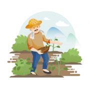 防旱防寒防病虫害 小麦春管“划重点”