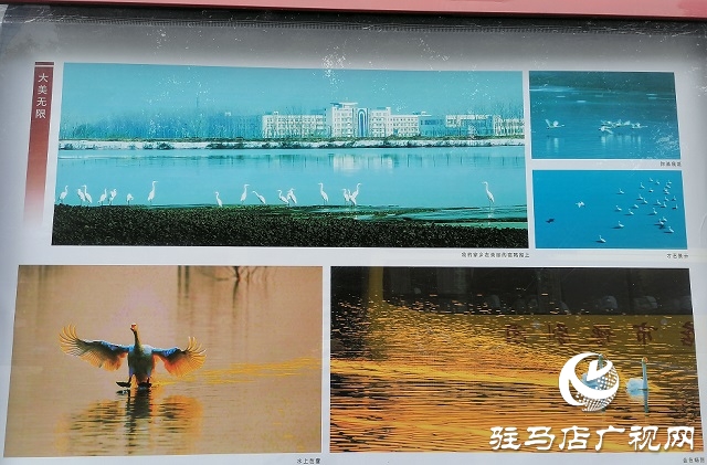 “心路历程”孙国钧个人摄影艺术展在光影艺术长廊开展