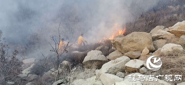 山火来袭 情况紧急 华润风能迅速扑灭