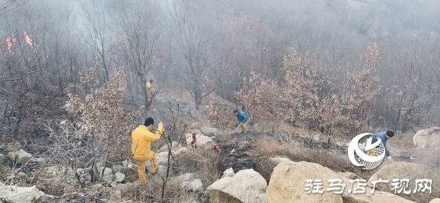 山火来袭 情况紧急 华润风能迅速扑灭
