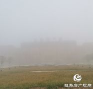  正阳：发布牛年第一个大雾橙色预警信号应对强浓雾天气