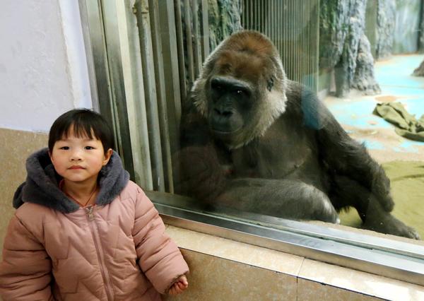 郑3.jpg