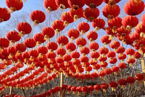 平舆县玉皇庙乡：新年新春新气象 收心归位谋发展