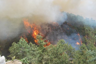 天干物燥，踏青春游记得防火 未来一周河南森林火险等级均在3级以上