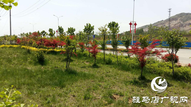 确山县三里河街道办事处多措并举做好人居环境整治工作