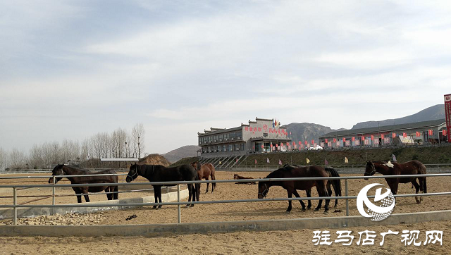 确山县三里河街道办事处多措并举做好人居环境整治工作