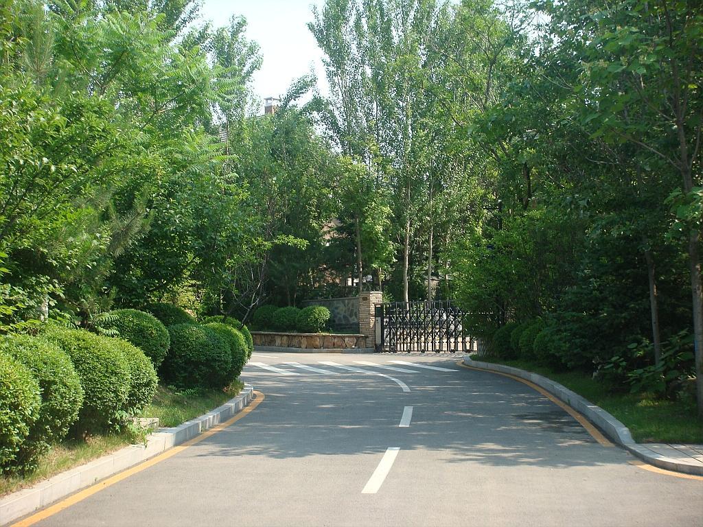 驻马店市绿化委员向全民发出倡议：不负春光 植绿爱绿