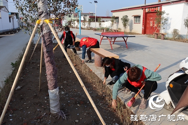 确山县三里河街道老臧庄社区成立乡村振兴返乡大学生志愿者服务团