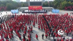 驿城区“学雷锋月”志愿服务活动启动