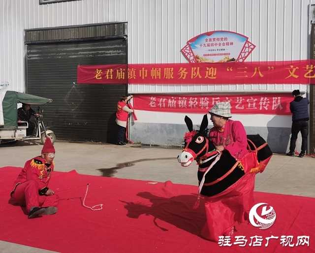 汝南县老君庙镇：喜迎三八节巾帼展风采