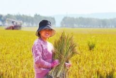 牢记总书记嘱托丨希望的田野奏响出彩强音