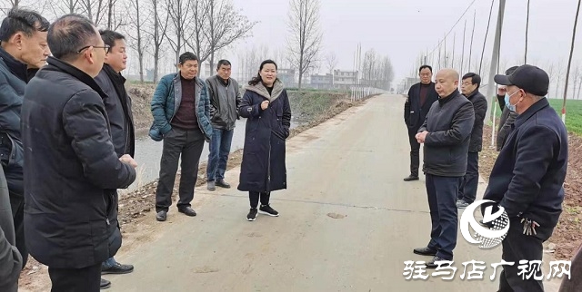 新蔡县委常委王霞到杨庄户乡进行植树造林观摩工作