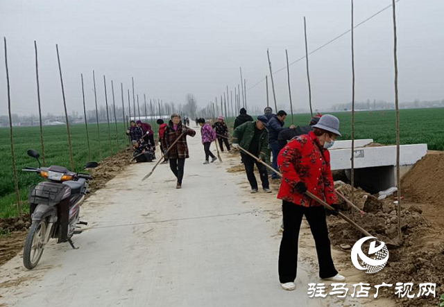 平舆县玉皇庙乡：提速国土绿化 打造美丽乡村