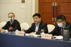 河南代表团审议关于政府工作报告等七个决议草案