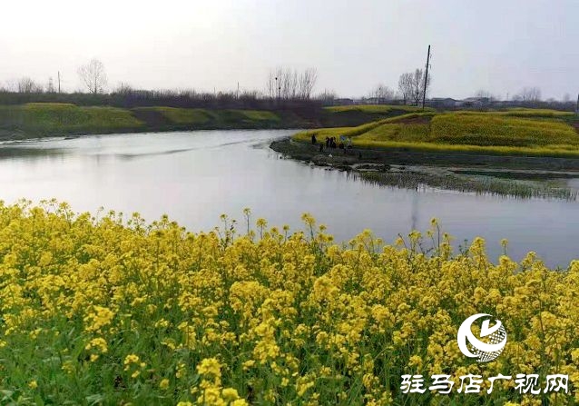 驻马店：阳春三月至 花开春意浓