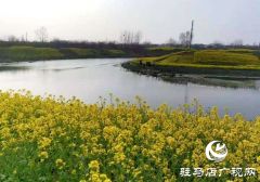 驻马店：阳春三月至 花开春意浓