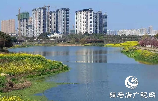 驻马店：阳春三月至 花开春意浓