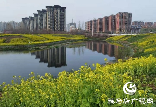 驻马店：阳春三月至 花开春意浓