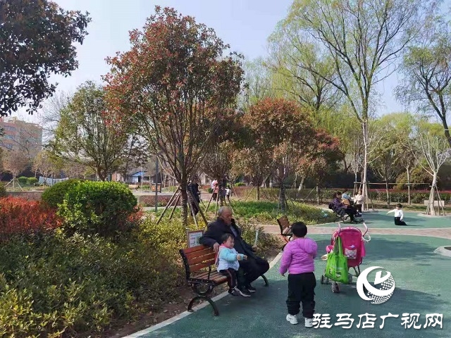 驻马店：阳春三月至 花开春意浓