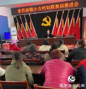 汝南县老君庙镇扎实推进村级妇联换届选举工作