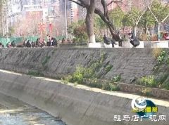 骏马河南段两岸无护栏 居民忧心盼望除隐患