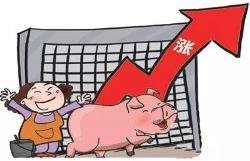 担心买的肉含“瘦肉精” 用检测卡自己在家检测靠谱吗？