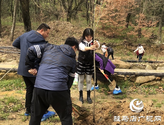 春分植树添新绿 车友齐心美家园