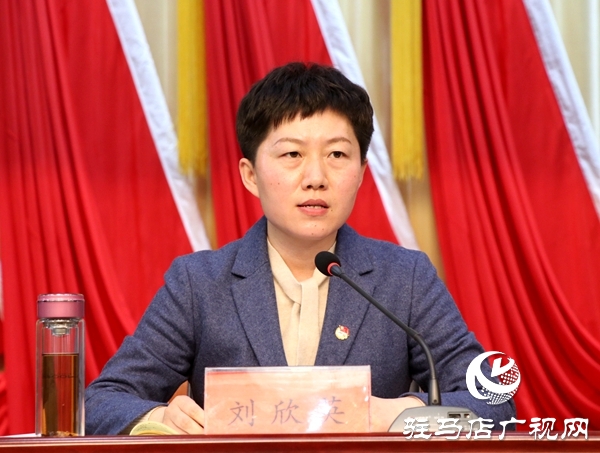 共青团驻马店市委三届四次全委（扩大）会议召开
