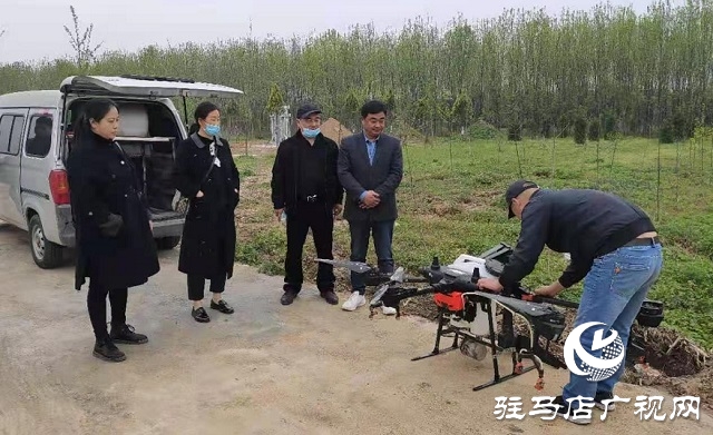 汝南县古塔街道办事处进行小麦病虫害无人机统防统治