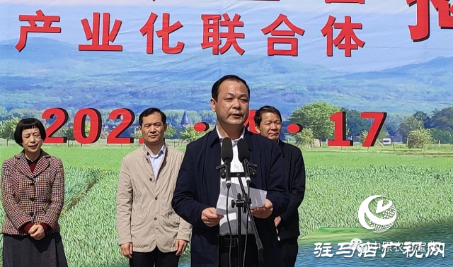 河南农吉成功加入漯河市金秋乐种业产业化联合体