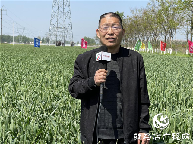  刻不容缓！小麦赤霉病防治正当时