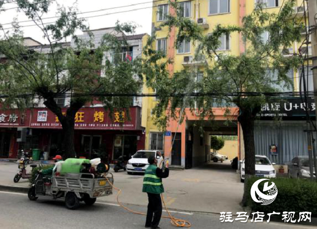 驻马店：飞絮来袭惹人烦 市长热线除隐患