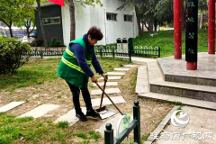 驻马店：飞絮来袭惹人烦 市长热线除隐患