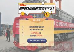 第一季度进口粮食业务量同比增长570%！河南进境粮食指定口岸迎来首季“开门红”