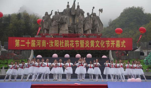 杜鹃3.jpg
