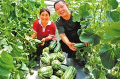 大力实施乡村建设行动 让乡村成为宜居宜业美好家园