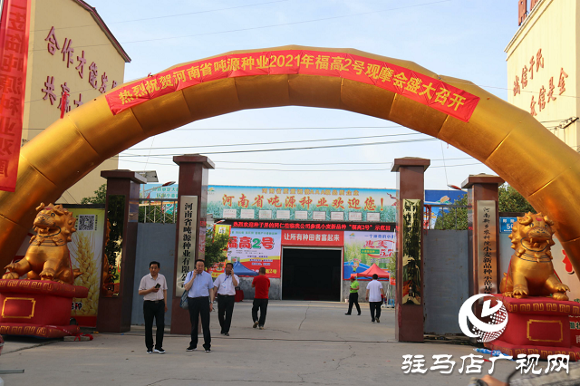 吨源种业举办2021苏皖豫“福高2号”小麦观摩会