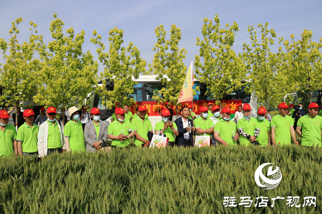 吨源种业举办2021苏皖豫“福高2号”小麦观摩会